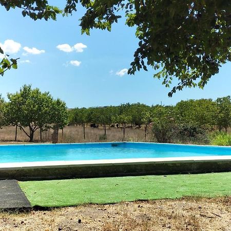 Rod Ranch Livestock - Stanza Doppia Con Letti Singoli Villa Campagnano Di Roma Eksteriør billede
