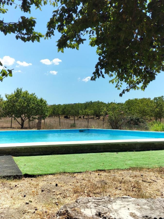 Rod Ranch Livestock - Stanza Doppia Con Letti Singoli Villa Campagnano Di Roma Eksteriør billede